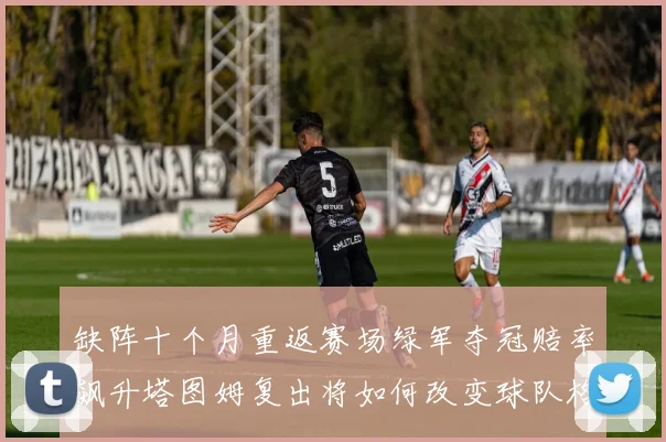 缺阵十个月重返赛场绿军夺冠赔率飙升塔图姆复出将如何改变球队格局