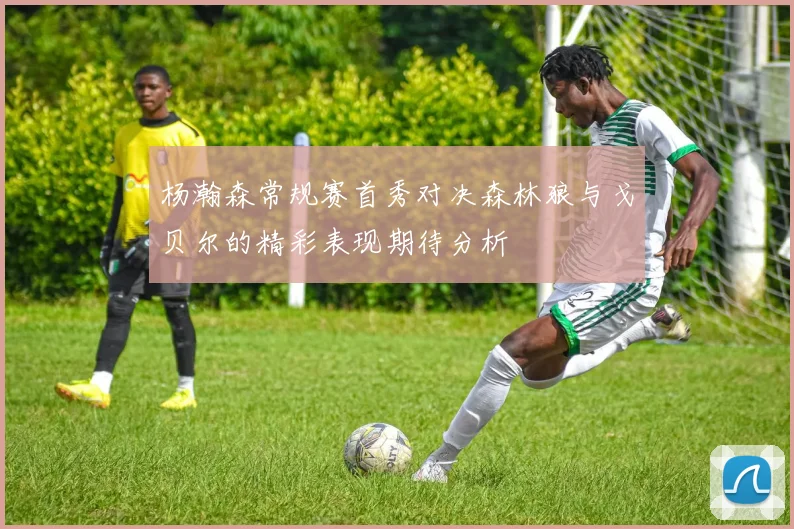 杨瀚森常规赛首秀对决森林狼与戈贝尔的精彩表现期待分析